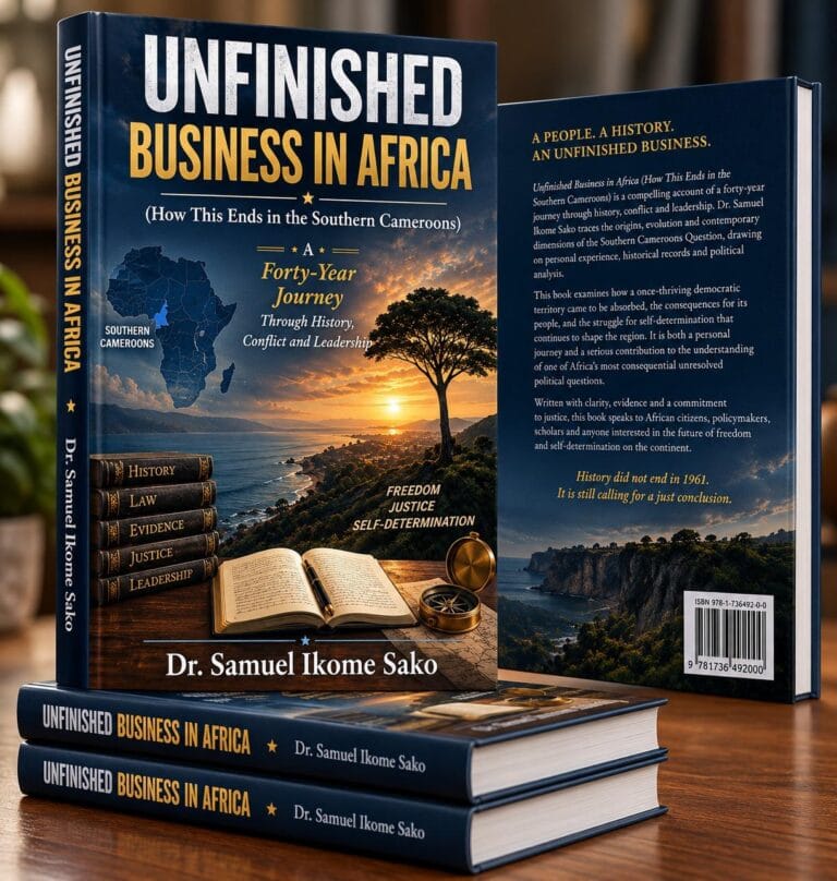 unfinished business in africa